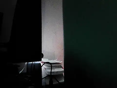 GordoChancludoSLP's cam snapshot