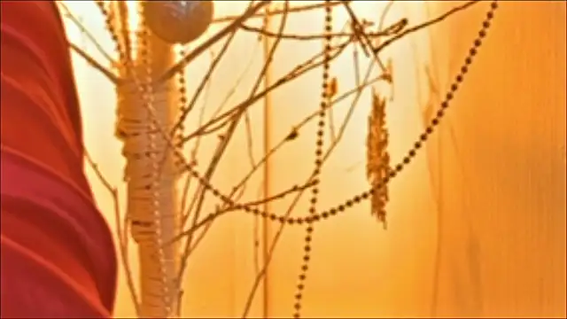 Selena_Sweetie's cam snapshot