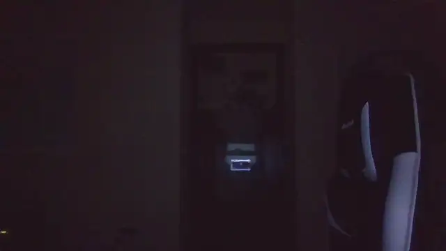 llopaco's cam snapshot