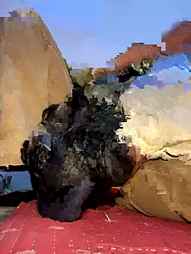 sonalsanskar live sex cam