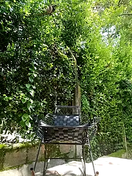 sebasxx97 live sex cam