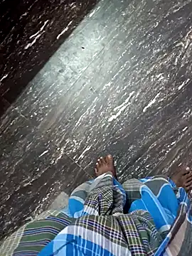 dolphiinn's cam snapshot