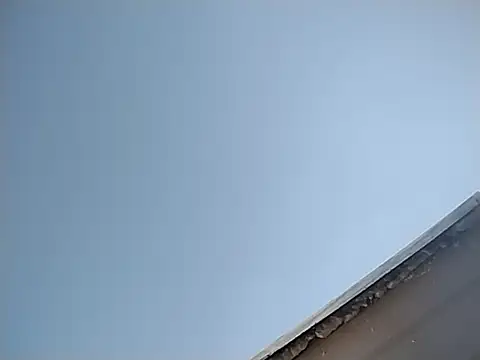 spundarella420 live sex cam