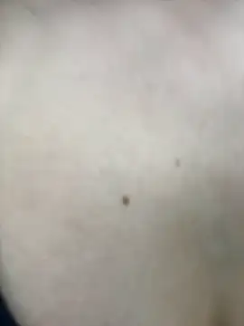 lemyny's cam snapshot