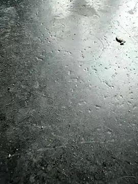 player77725's cam snapshot