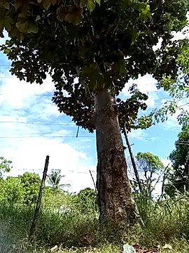 PIG_Spitfeetdirty's cam snapshot