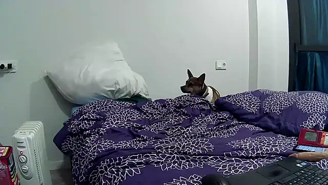 Catylandi1 live sex cam