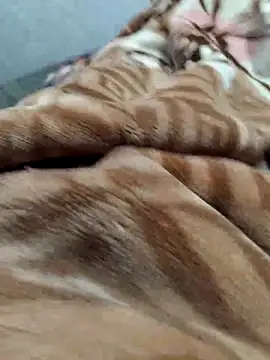 hotjalandhar's cam snapshot