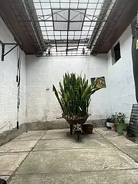 oliver_price1's cam snapshot