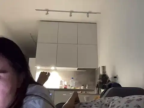 Darivelli's cam snapshot