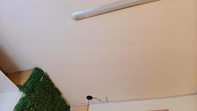 Rosee_park's cam snapshot