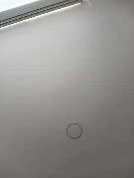 SweetCat_and_Jhonny's cam snapshot