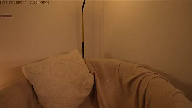 SenSage's cam snapshot