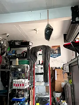 Paul22cm- live sex cam