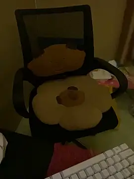 Sully-pink's cam snapshot