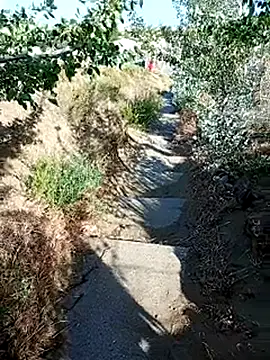 Labellasex live sex cam