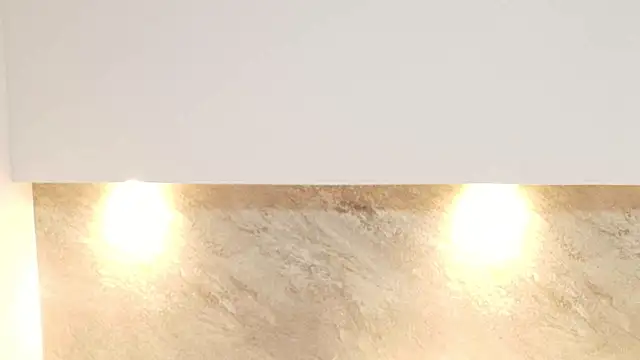 Dixie_grey1's cam snapshot