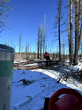 GoldenFlameGoddess's cam snapshot