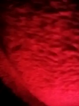 my-my2x's cam snapshot