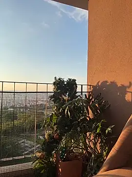 itsdanividarte's cam snapshot