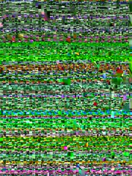 cofla_30 live sex cam