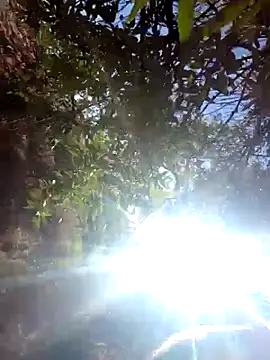 Labellasex live sex cam