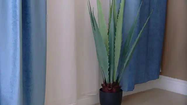 Bailey_Rush's cam snapshot