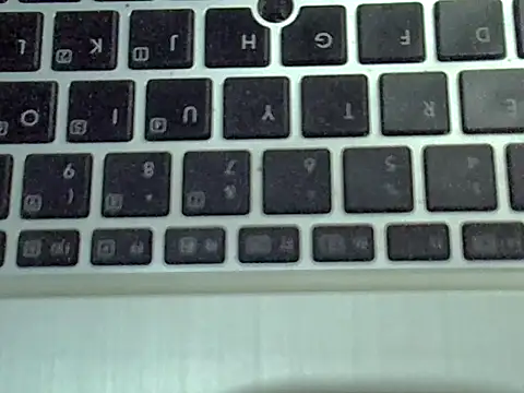 Delicious-D live sex cam