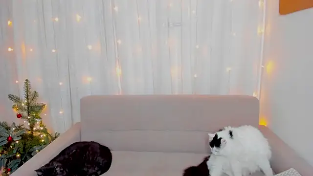 FieryHeart's cam snapshot