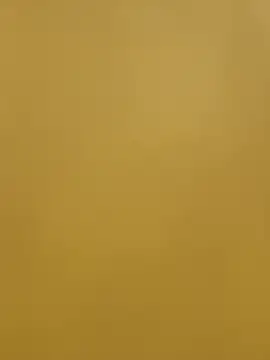 DOLY-20's cam snapshot