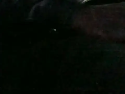 montydxxxx live sex cam