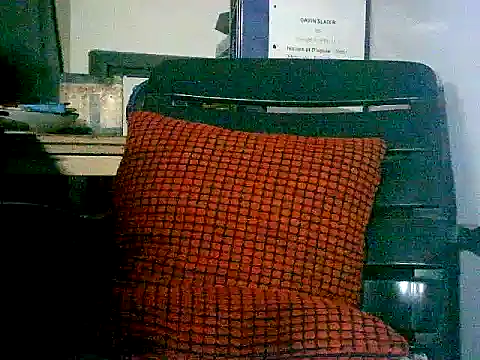 sacptjock83's cam snapshot