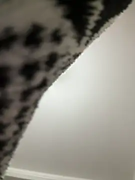 Lucasjandre live sex cam