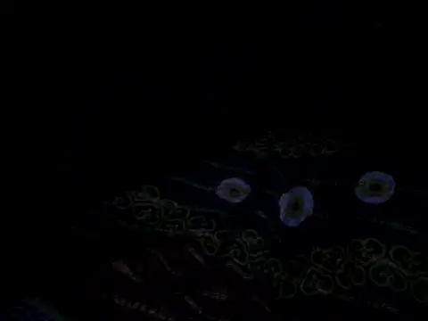 chittagong71hot live sex cam