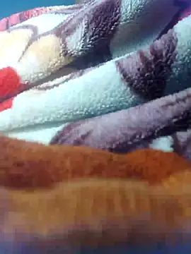 Sheela-Bhabi's cam snapshot