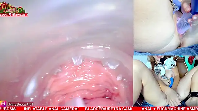 MaryBrook1 live sex cam