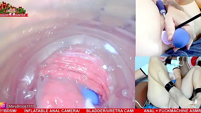 MaryBrook1 live sex cam