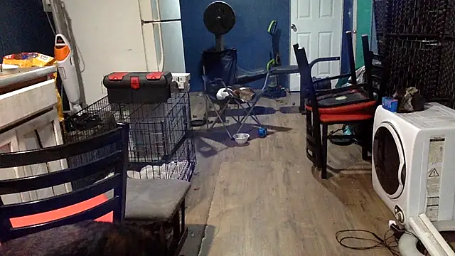 sexyhotstud12's cam snapshot