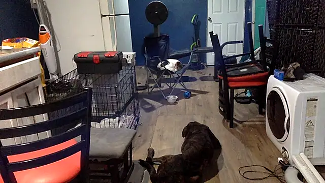 sexyhotstud12's cam snapshot