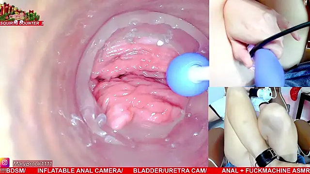 MaryBrook1 live sex cam