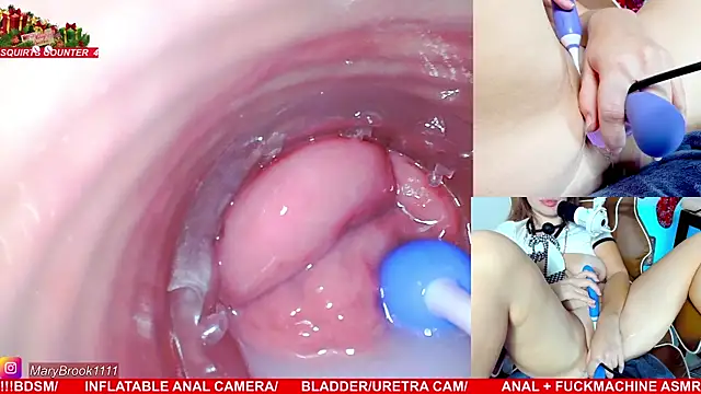 MaryBrook1 live sex cam