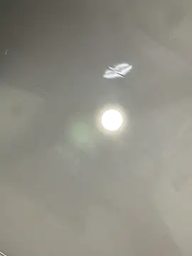 celestehot691's cam snapshot