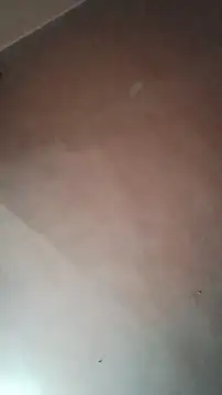 TuFlapito's cam snapshot