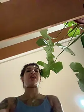 Nikatsu live sex cam