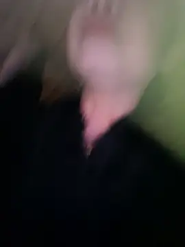 Basanis68's cam snapshot