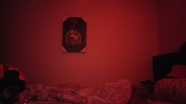 hailzeffn's cam snapshot