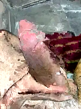 hamoo23p's cam snapshot