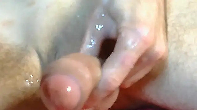 Pintiliescu's cam snapshot