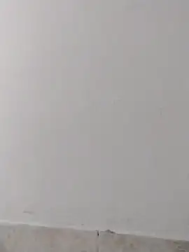 SHARLOT2427's cam snapshot