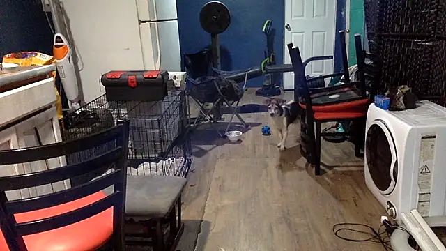 sexyhotstud12's cam snapshot